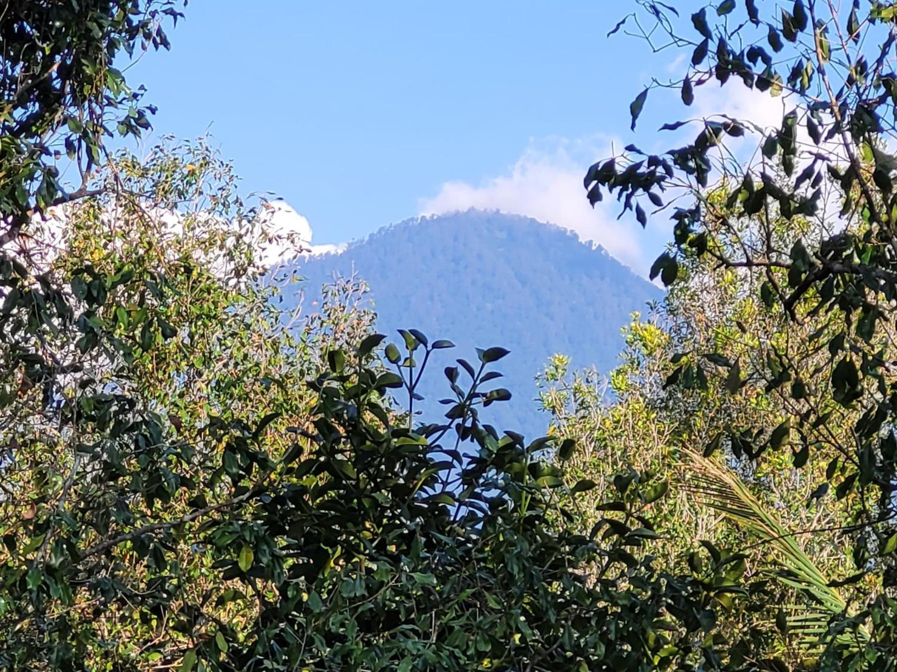 Umah Yugadi Bali Lägenhet Munduk Exteriör bild
