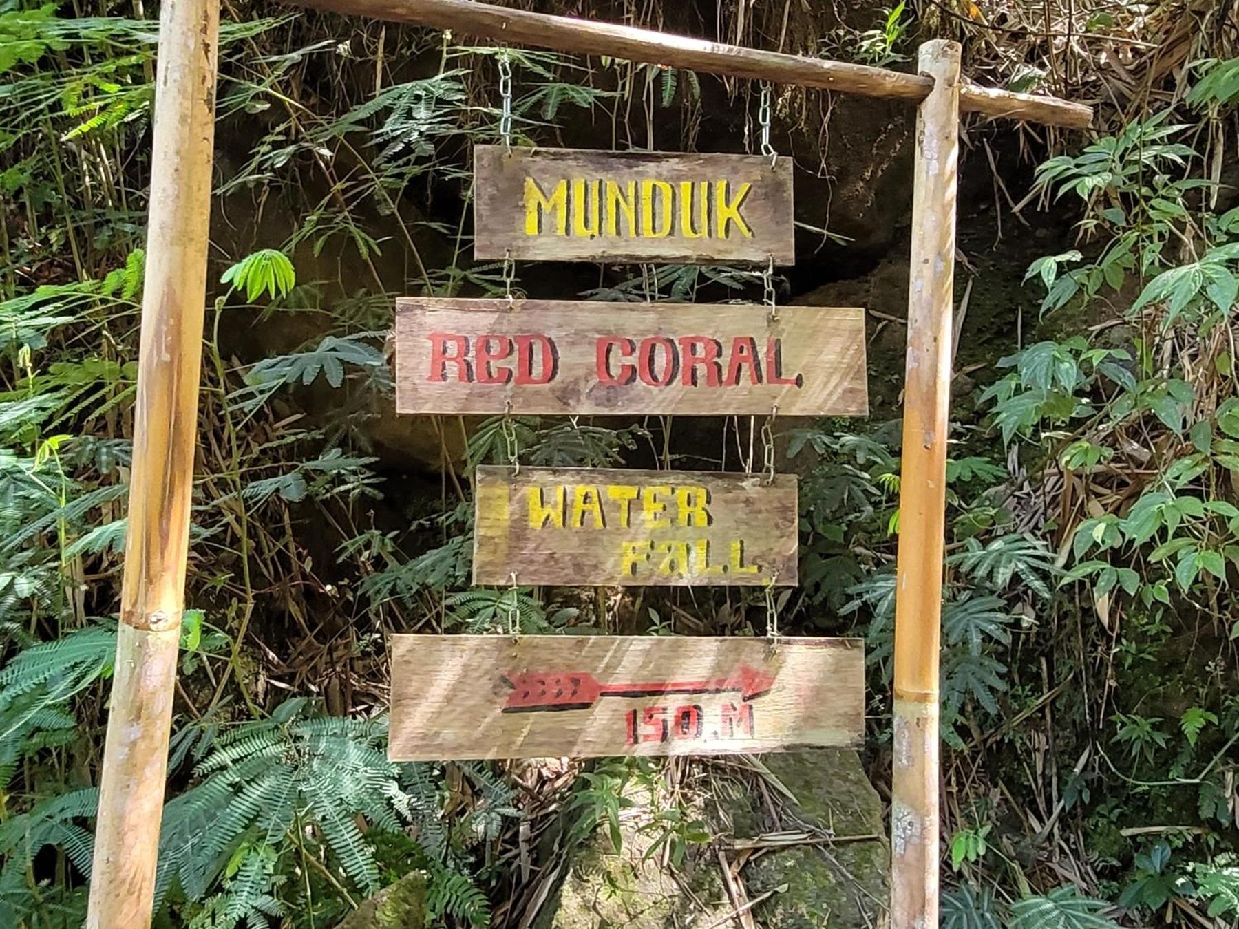 Umah Yugadi Bali Lägenhet Munduk Exteriör bild